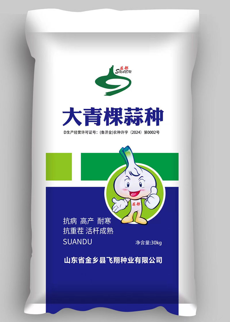 大蒜種子