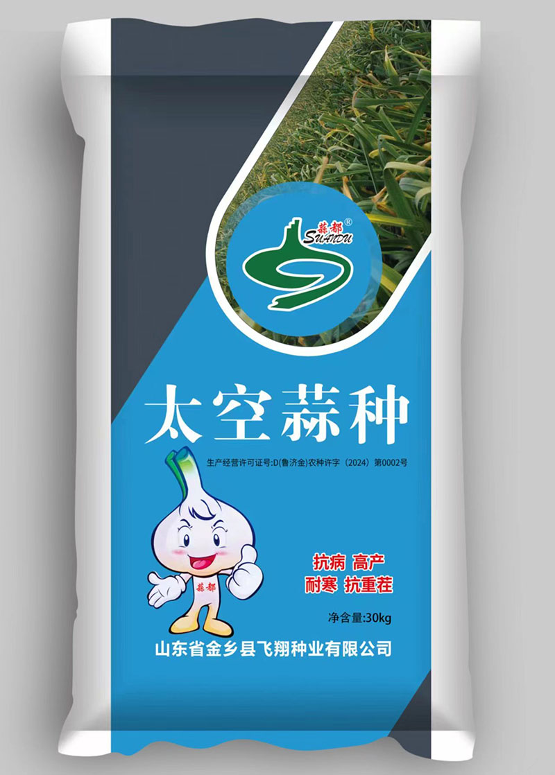 大蒜種子