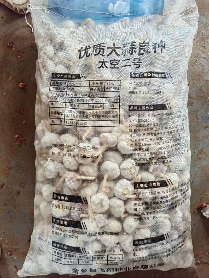 大蒜種子